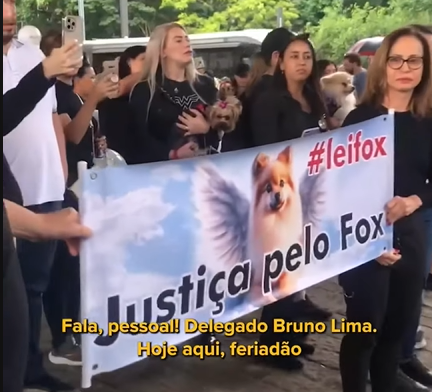 Passeata Lei Fox — São Paulo