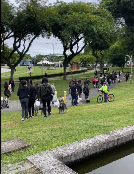 Passeata Lei Fox — Belo Horizonte